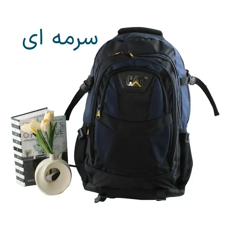 کوله پشتی پارچه ای مسافرتی و ورزشی دارای بند بلند و جیب متعدد ابعاد 55 در 30 در 25 سانتیمتر - تصویر 3